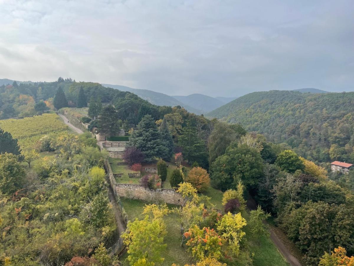 Apartmán Dicker Stein Lambrecht  Exteriér fotografie