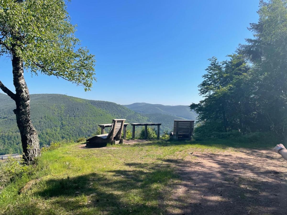 Apartmán Dicker Stein Lambrecht  Exteriér fotografie