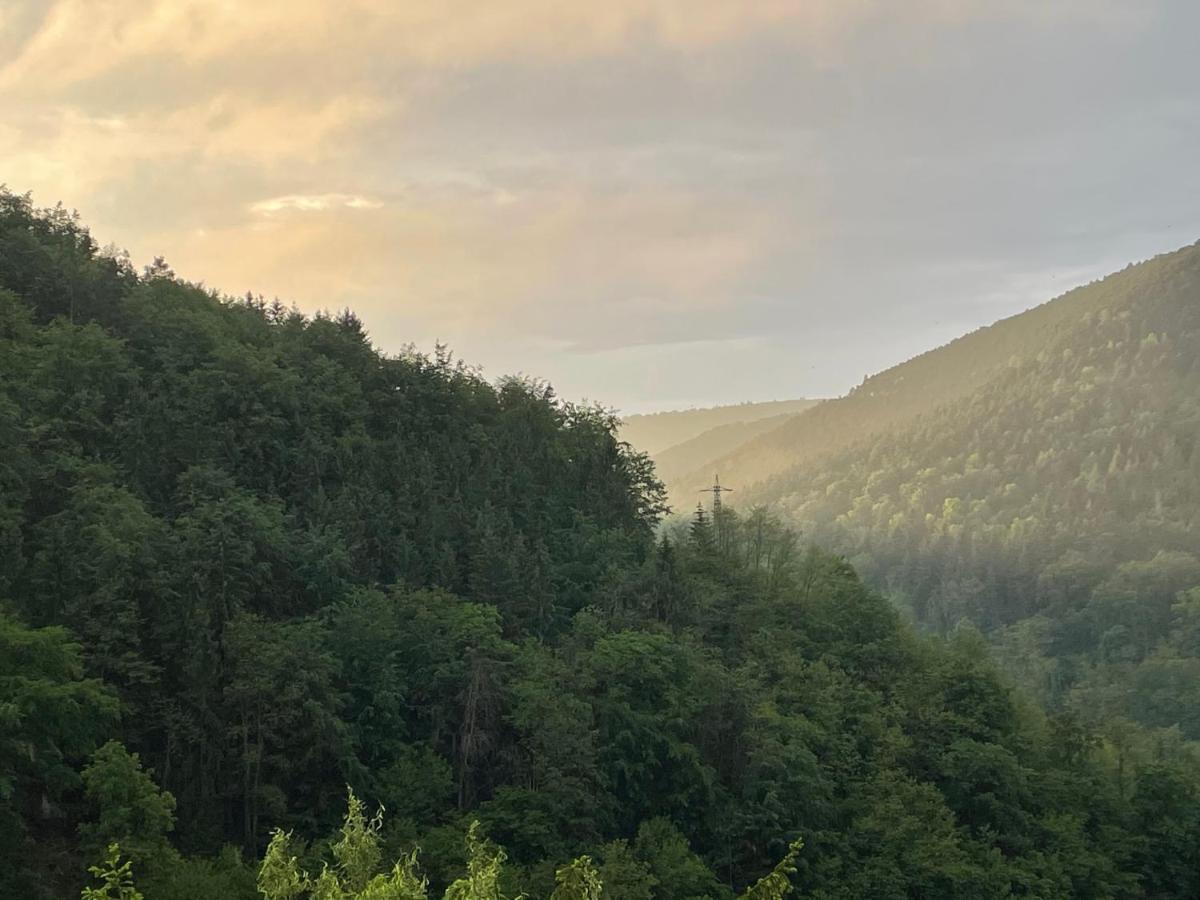 Apartmán Dicker Stein Lambrecht  Exteriér fotografie